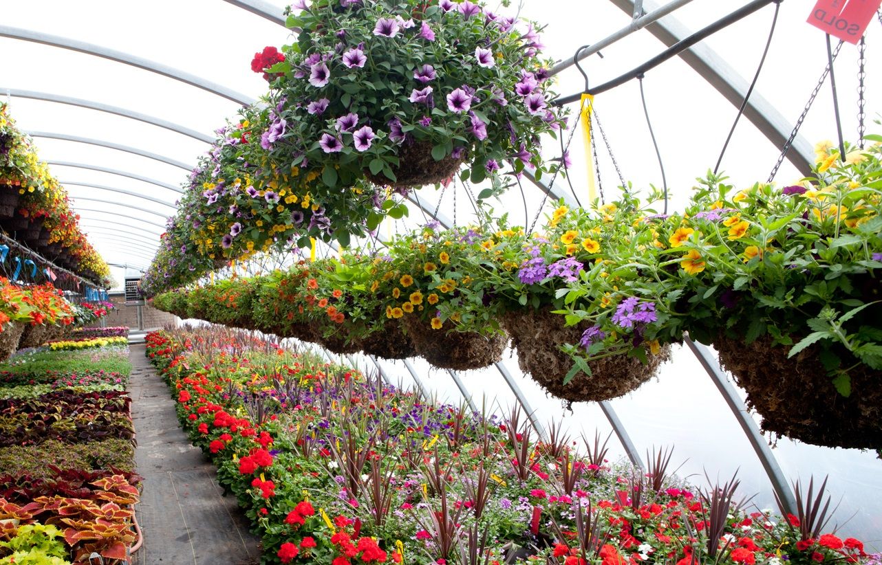 Frutales, aromáticas y plantas de flor, los candidatos a superventas de primavera en Dijardín