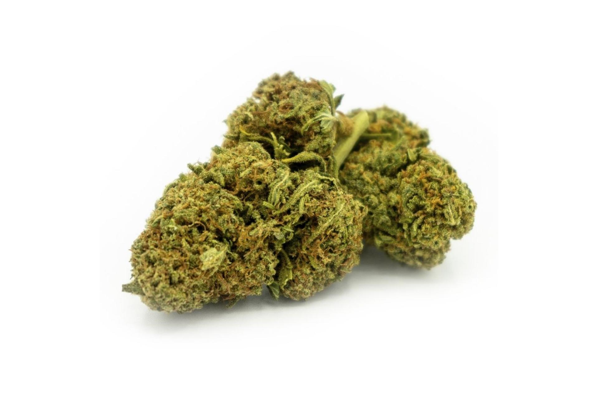 ¿En qué consisten las flores de CBD?