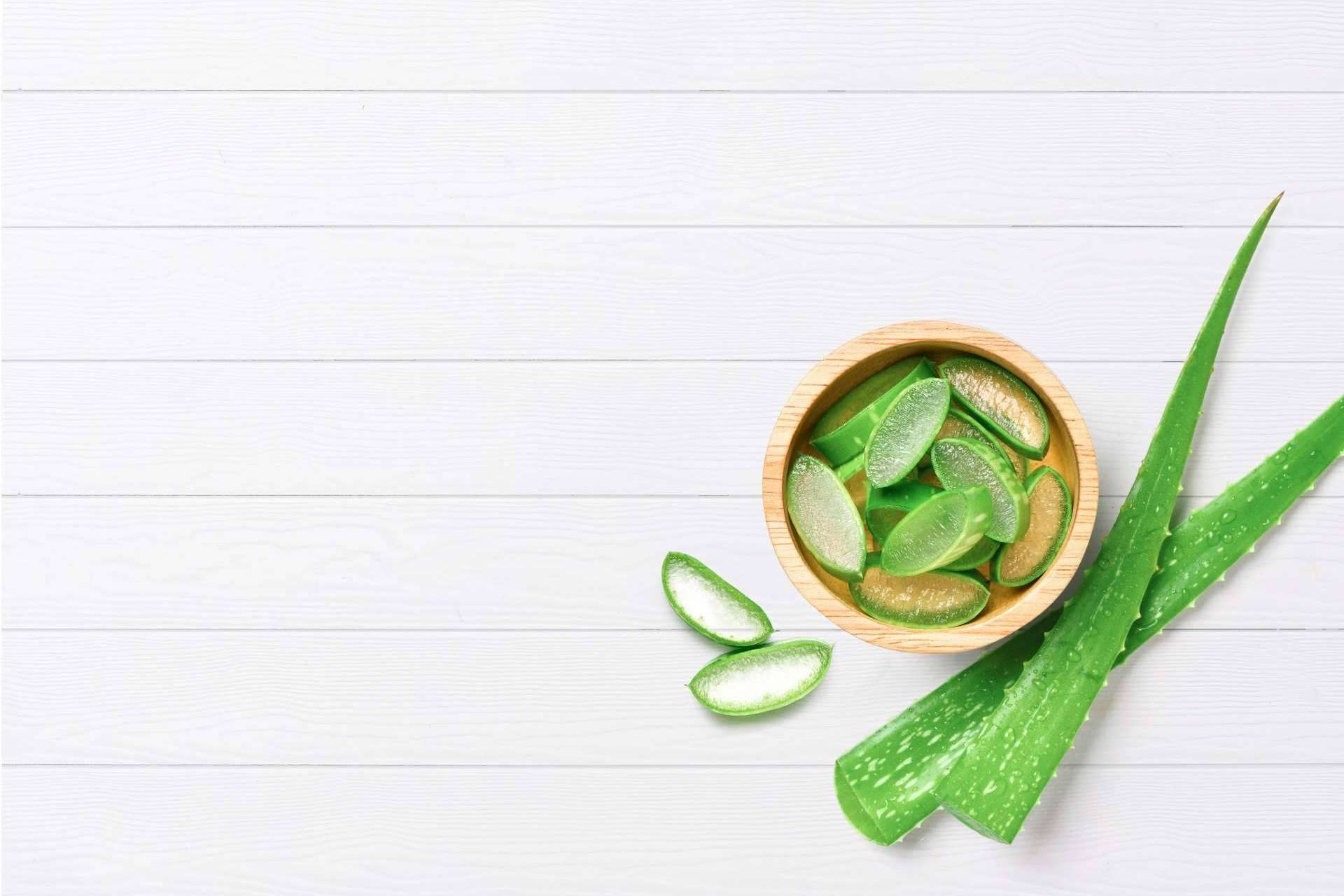 Territorio Aloe: las propiedades del aloe vera