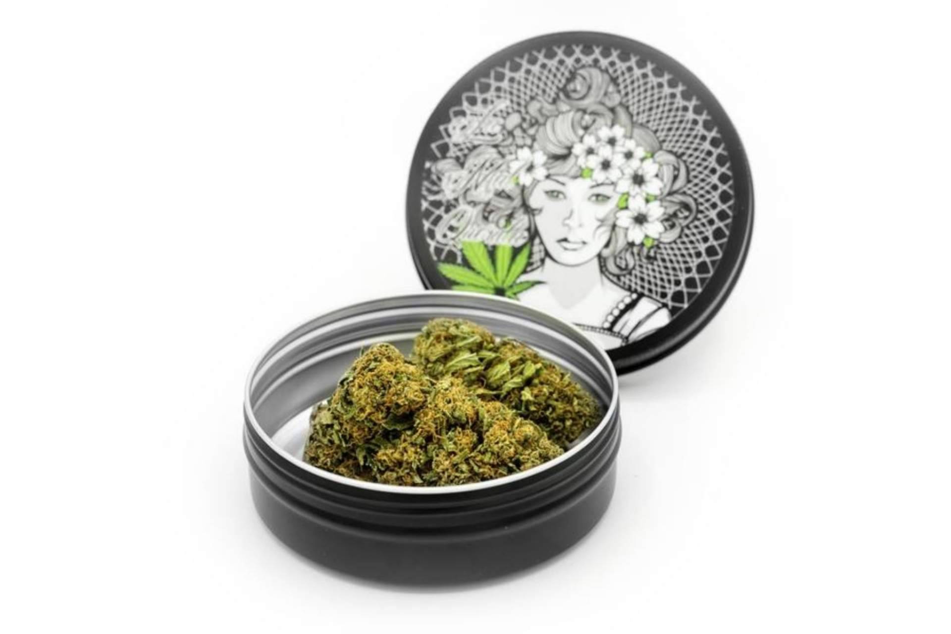 ¿Qué dice el aspecto legal del CBD?: La Mal Querida