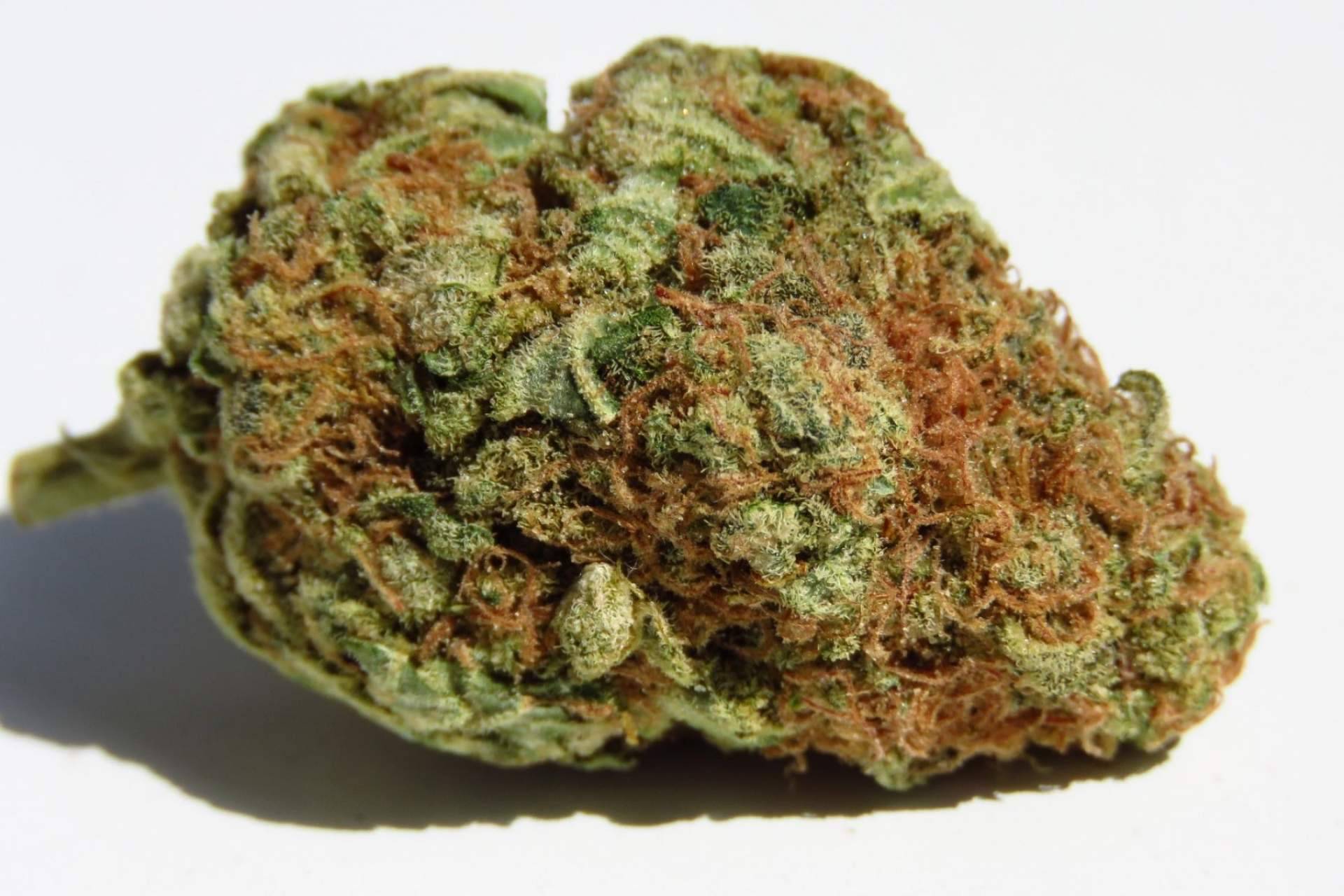 ¿Qué son las flores de cannabidiol o CBD?: De Pata Verde