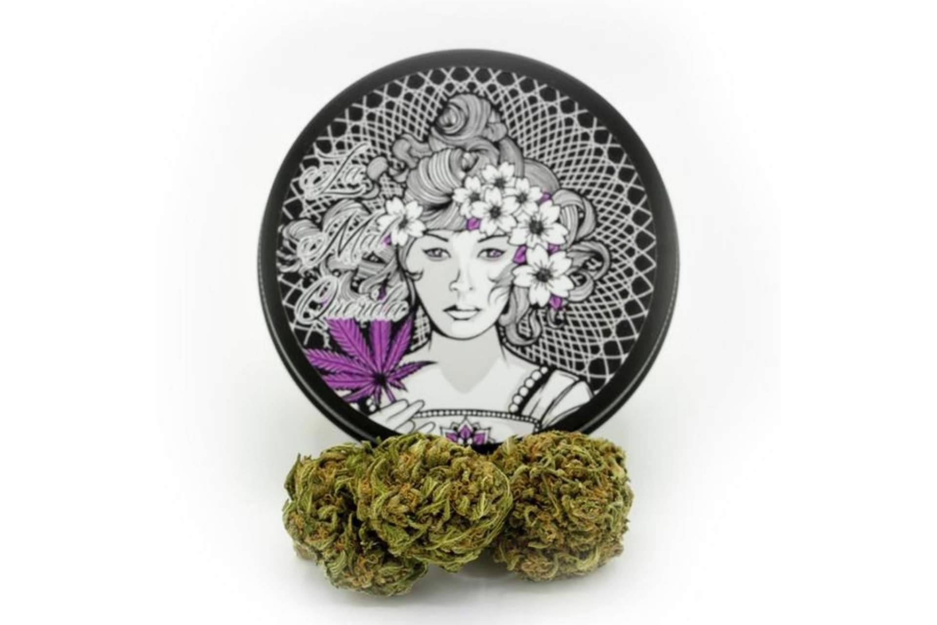 La Mal Querida: ¿Es legal comprar CBD en España?