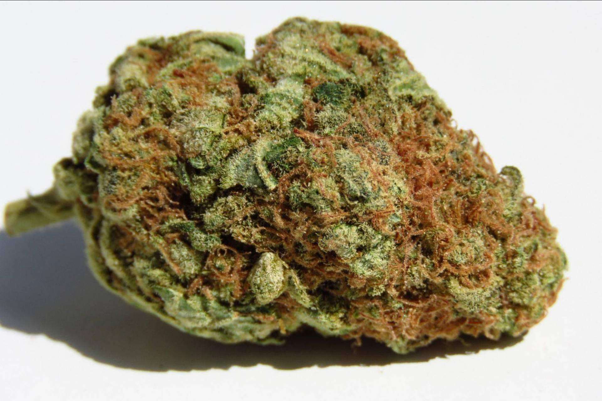 ¿Qué son las flores de cannabidiol?, por De Pata Verde