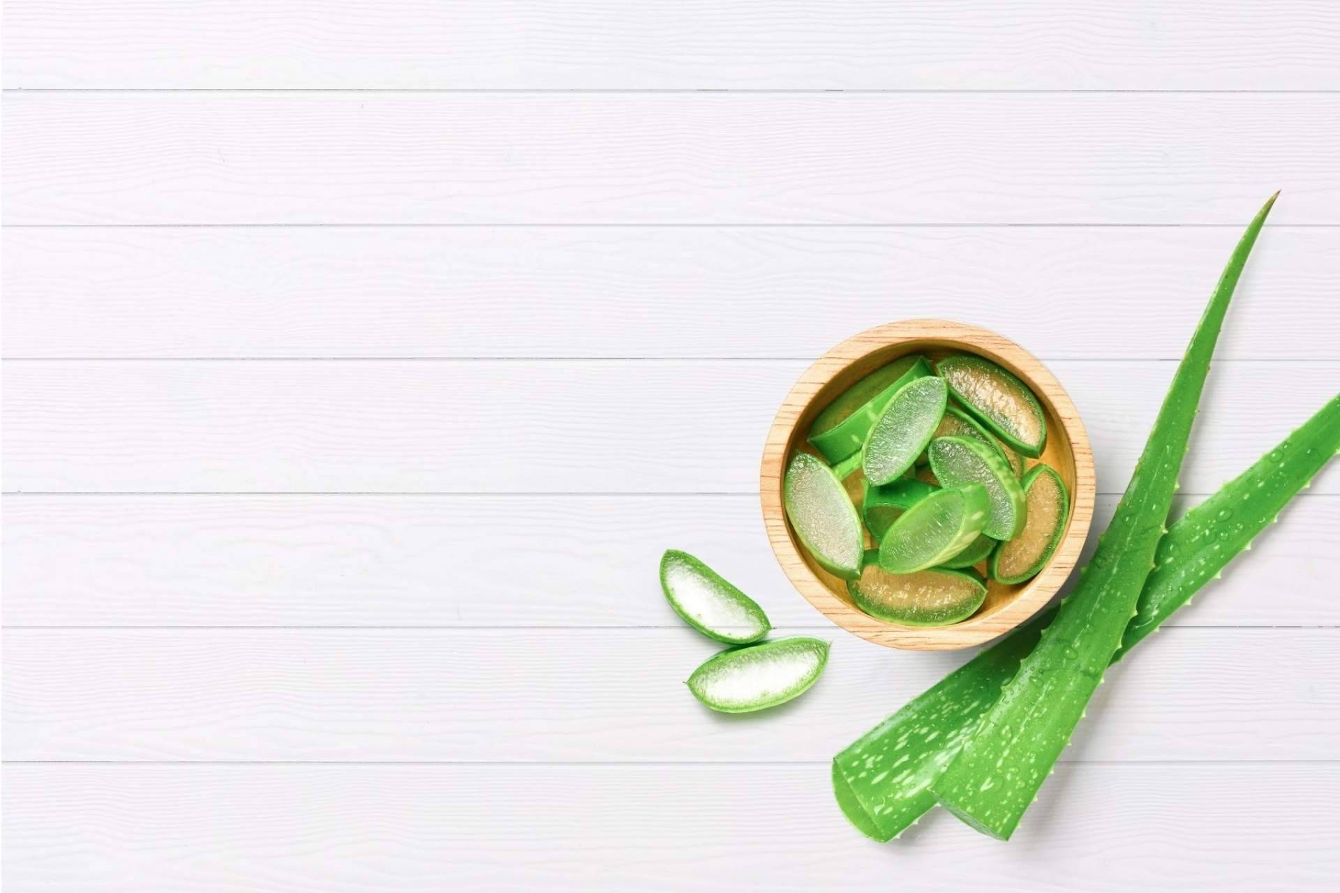 TerritorioAloe exprime las propiedades del aloe vera