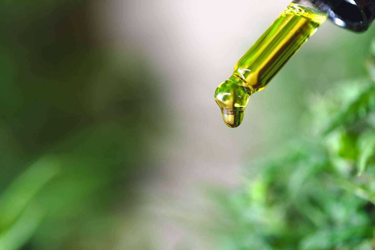 Legal Hemp, la marca que ofrece productos elaborados a partir de aceite CBD