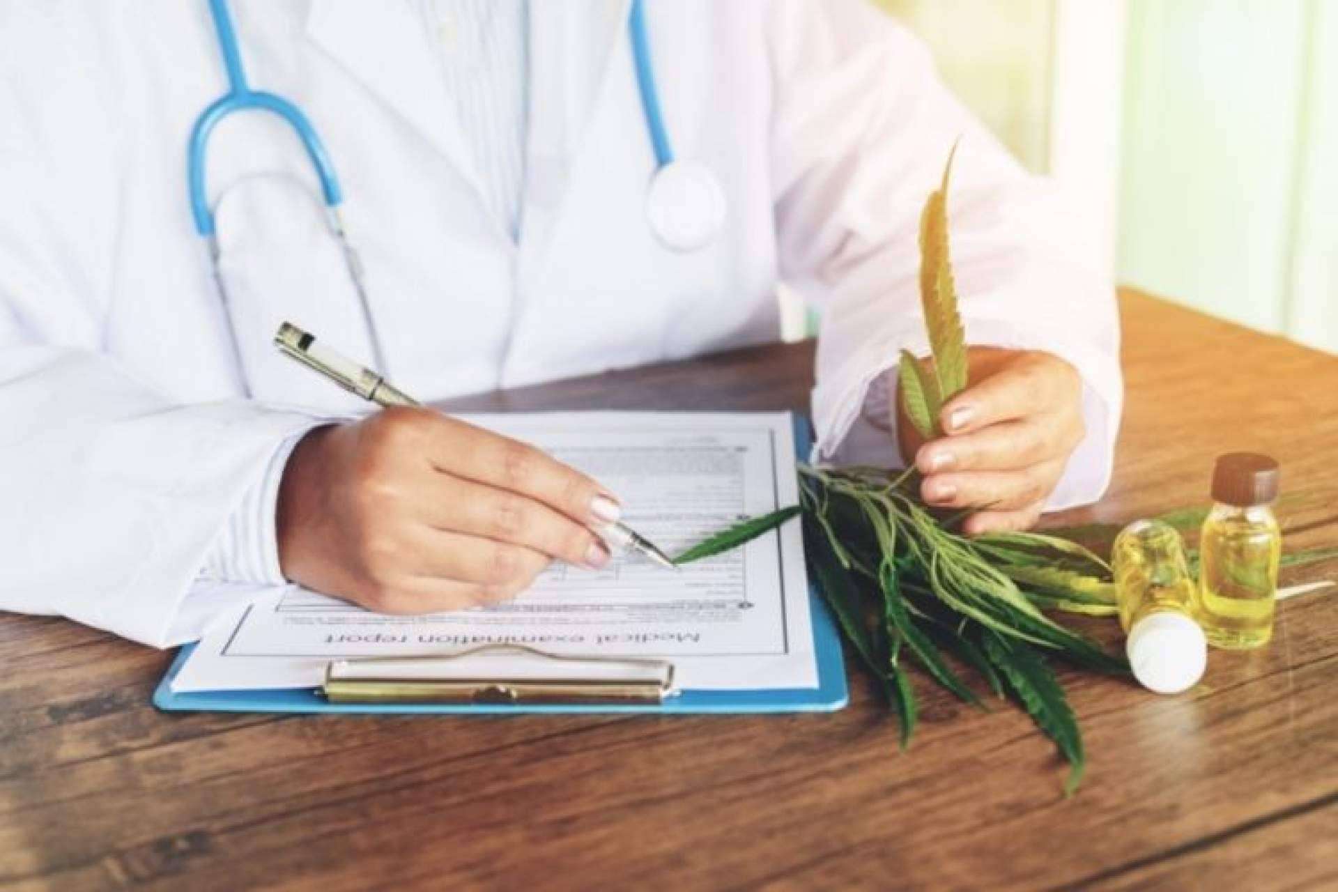 Los aceites de CBD y sus beneficios, según CBD Organics