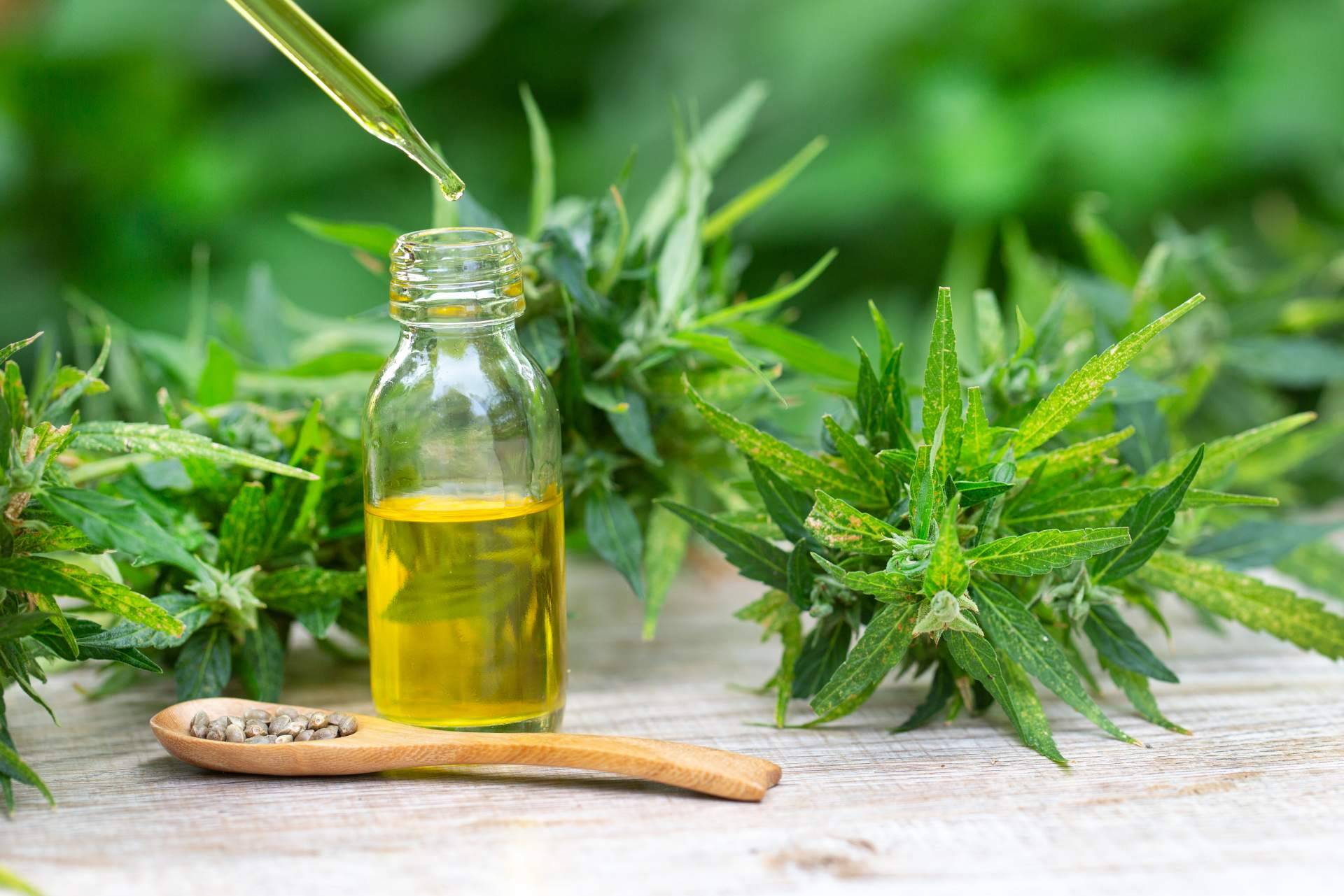 Los aceites de CBD seguros que brinda Legal Hemp