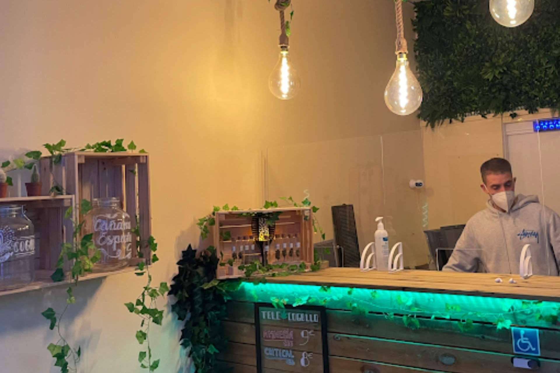 La marihuana legal de TeleCogollo se consolida como una de las principales del mercado