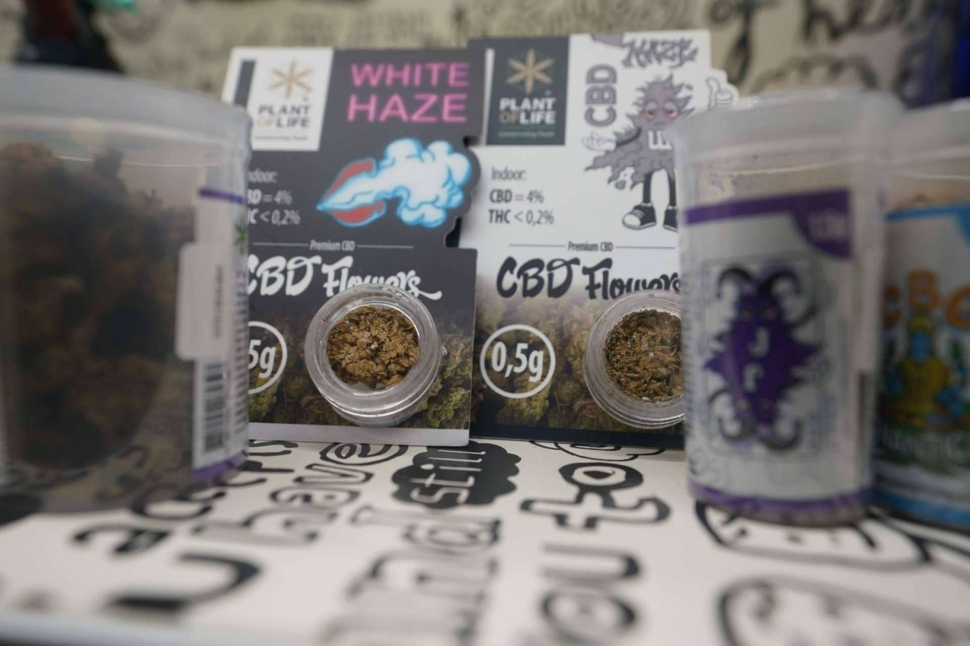 ¿Qué es el CBD?, según Ganesh Grow