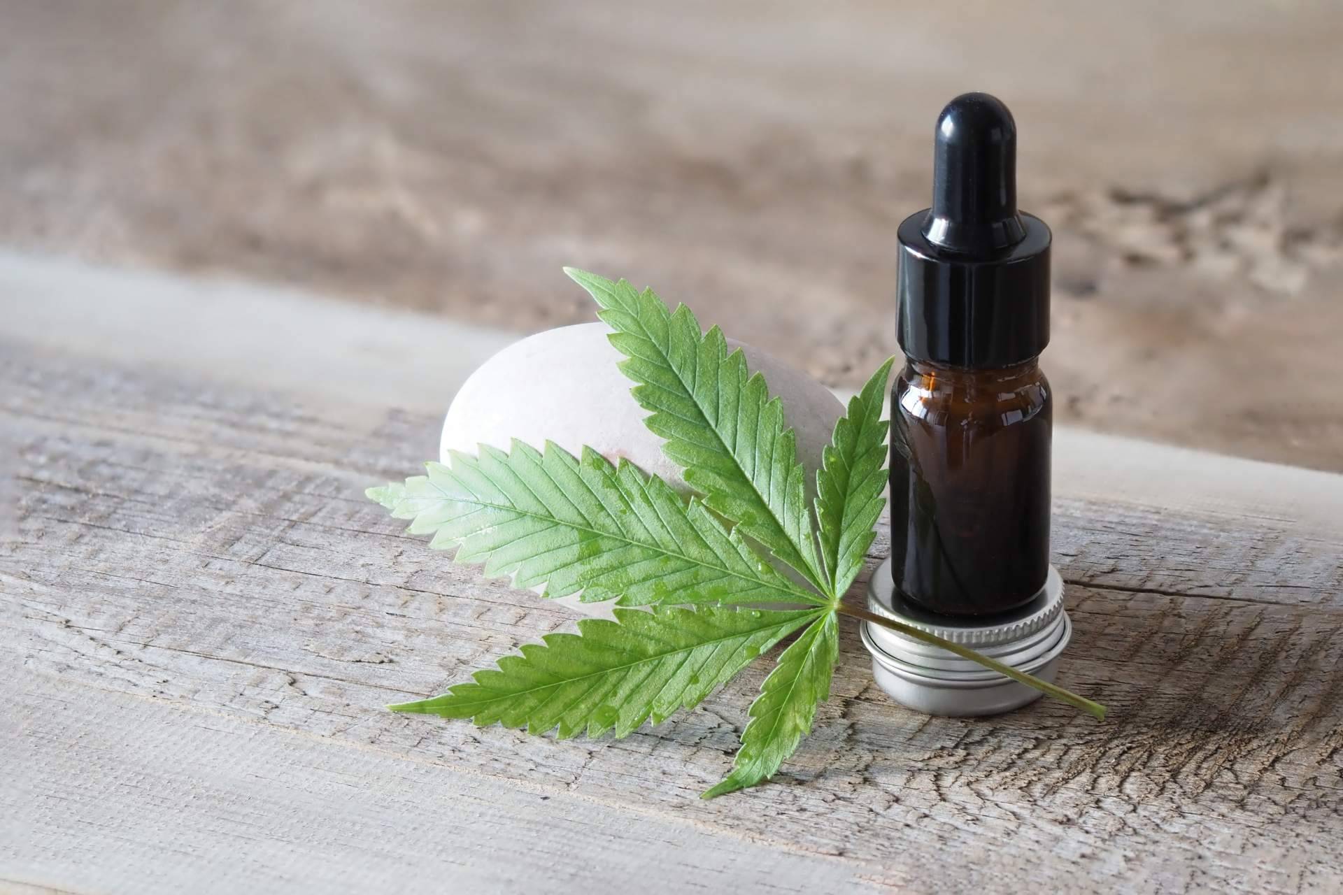 Legalhemp Biocosmetic, la tienda online que comercializa un extenso catálogo de aceite CBD