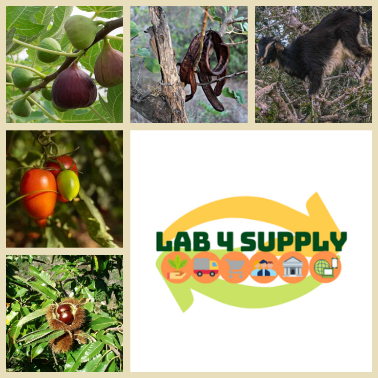 Foto de LAB4Supply