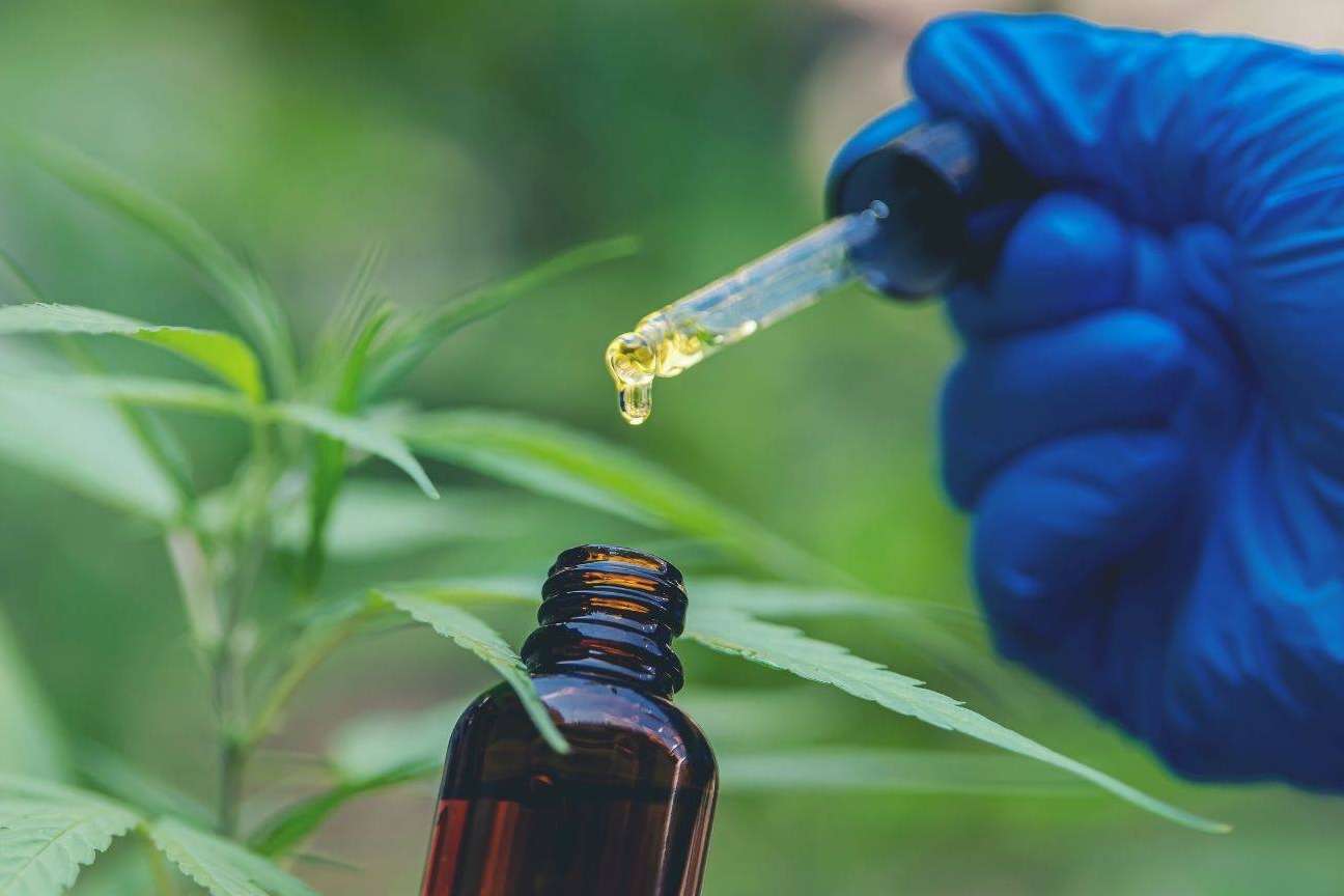 La creciente popularidad del CBD, por CrisEssens