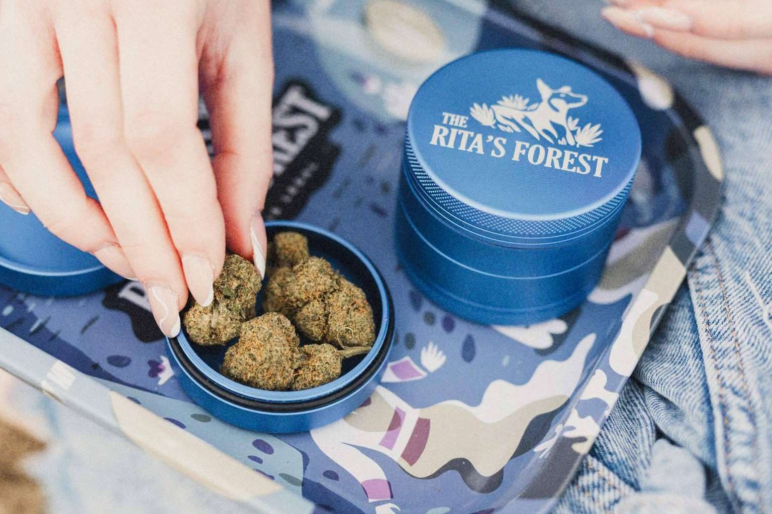El estatus legal del CBD en España