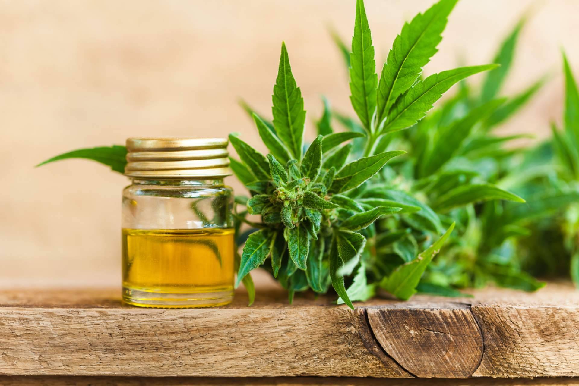 ¿Está permitido conducir bajo los efectos del CBD?, con La Mal Querida