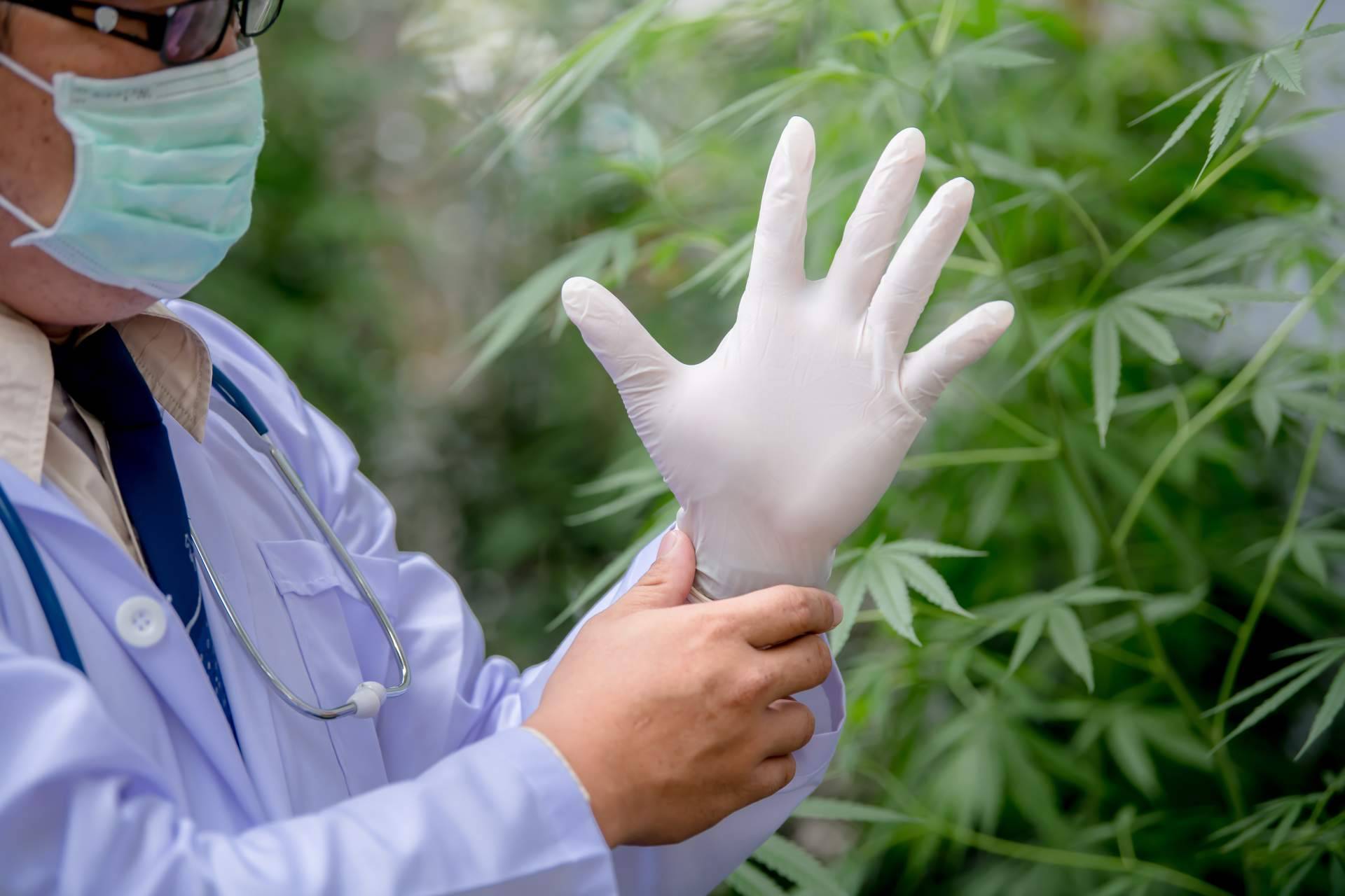 Encontrar aceite de CBD de alta calidad de la mano de CBDrocks