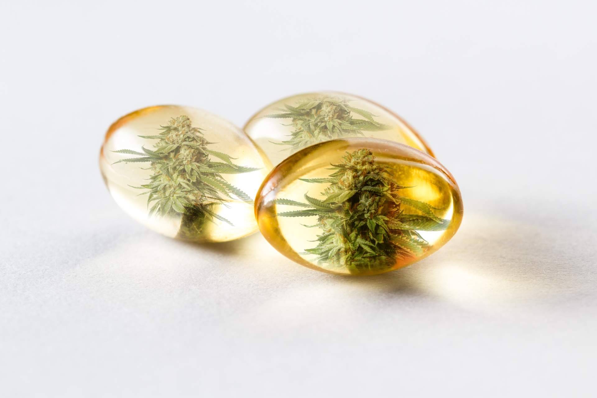 Los beneficios que ofrece el CBD para el deporte, por Greengos