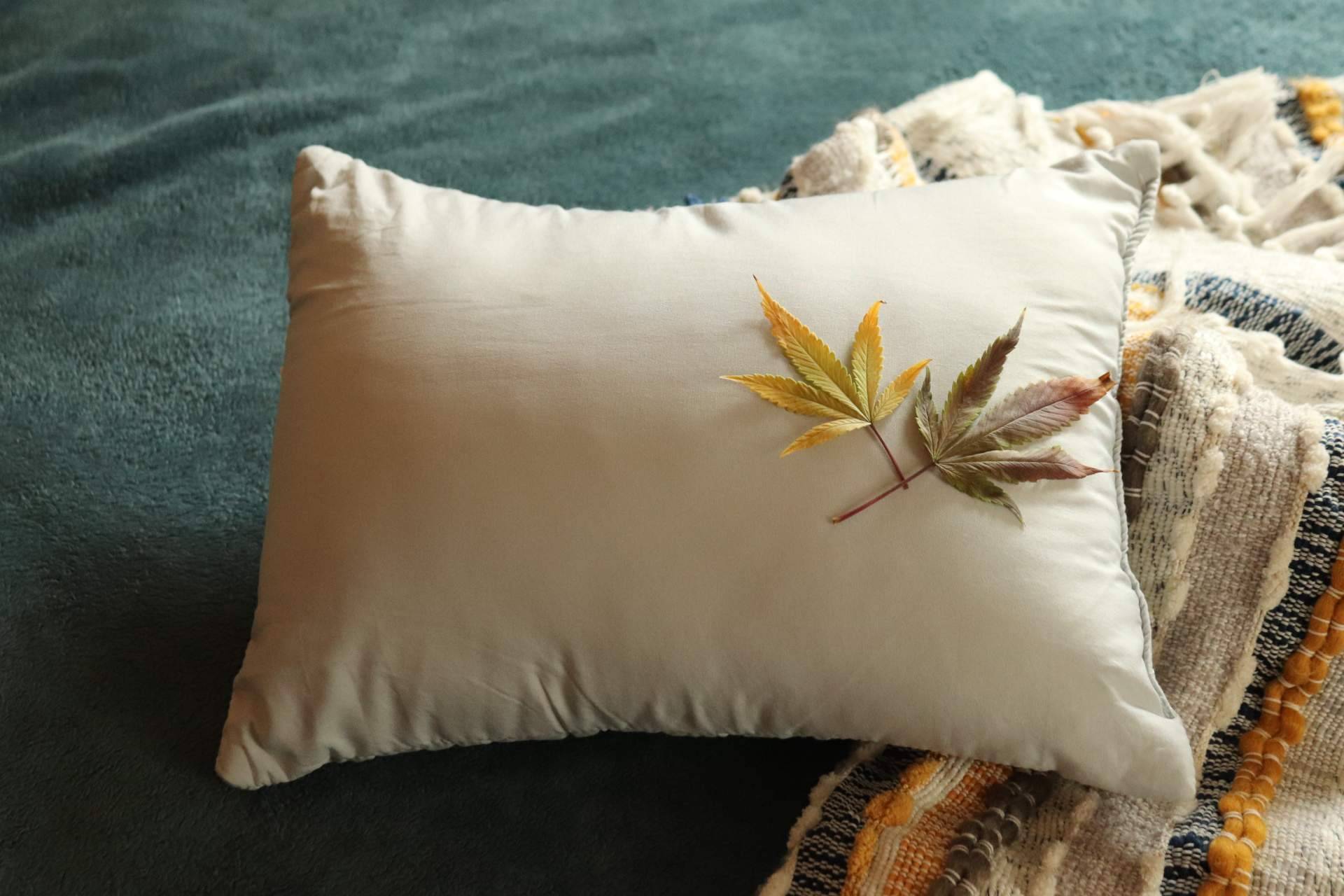 Así funciona el aceite de CBD contra la ansiedad y el insomnio