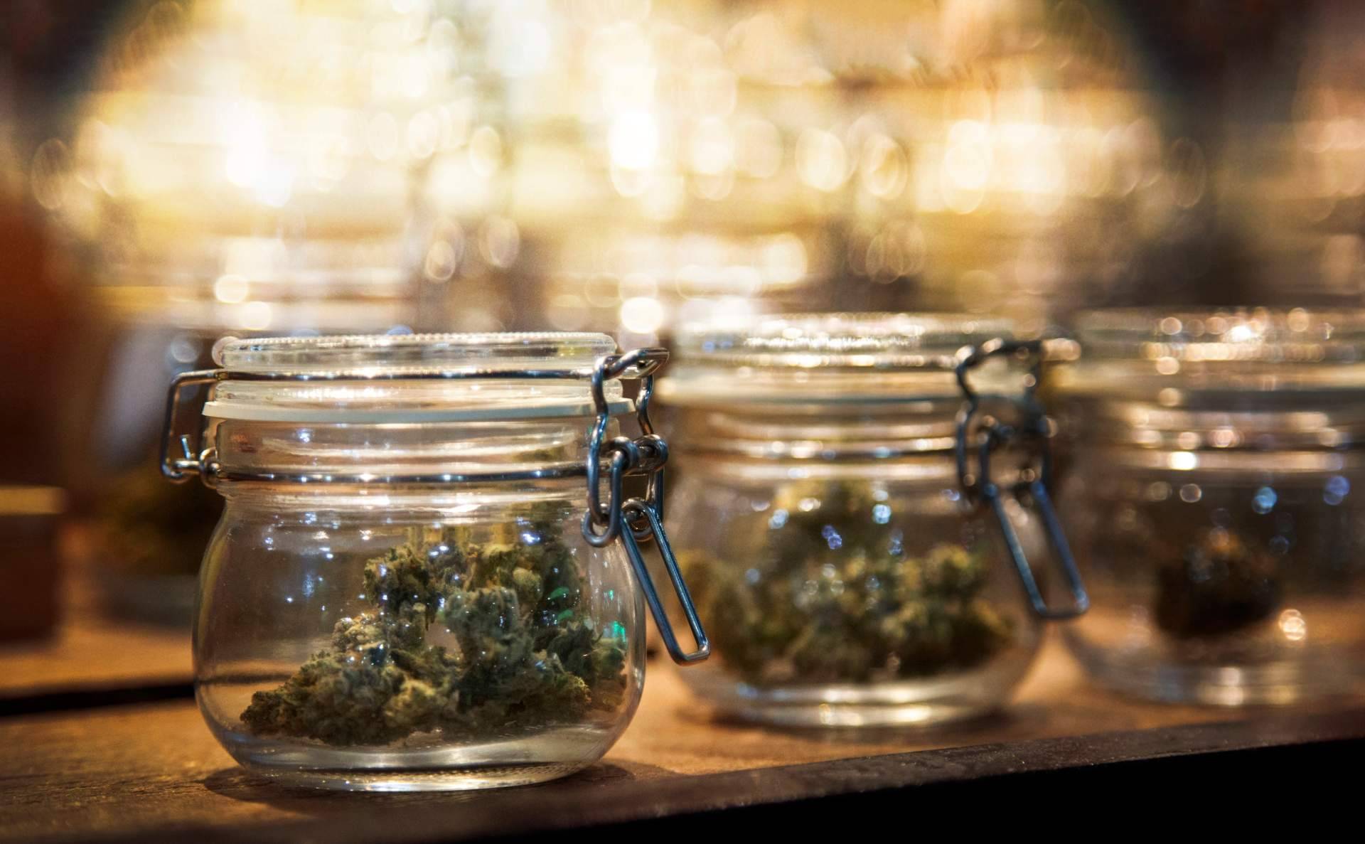 Una de las guías nº 1 de clubes de cannabis en Barcelona, Cannabis Barcelona