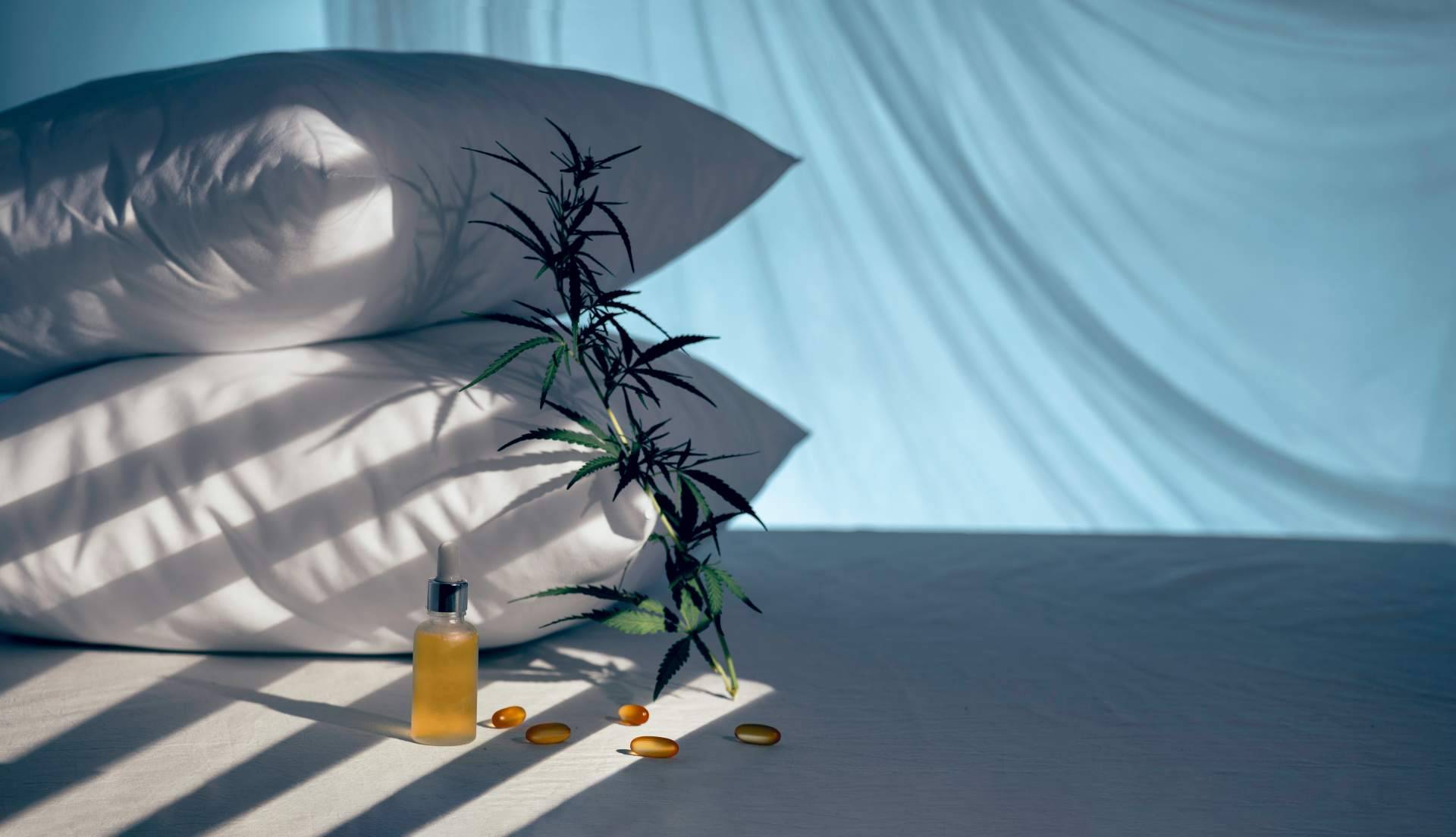 CBD para dormir, recomendado por Flower Farm