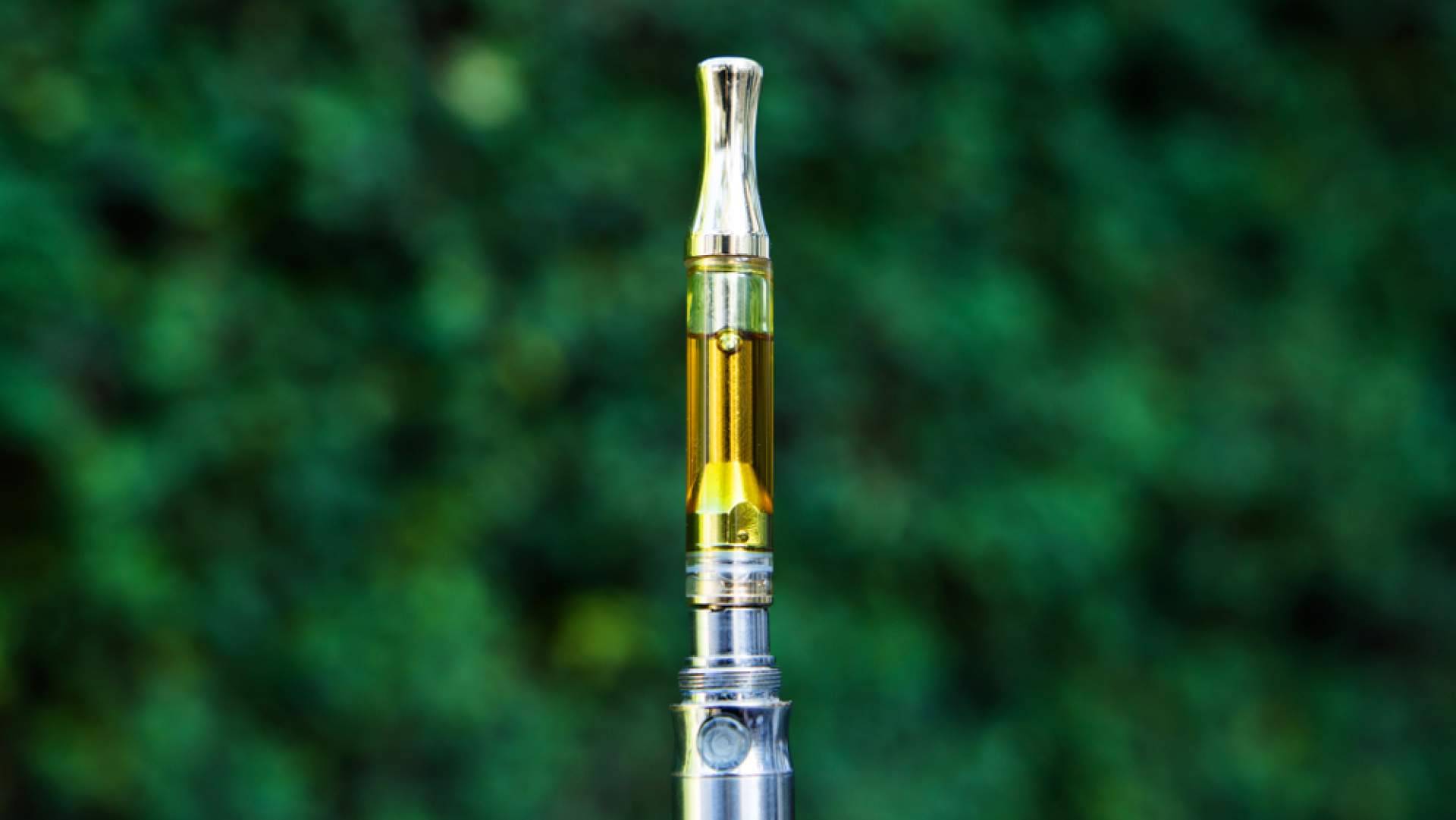 CBDrocks cuenta con una gran variedad de productos orgánicos de CBD