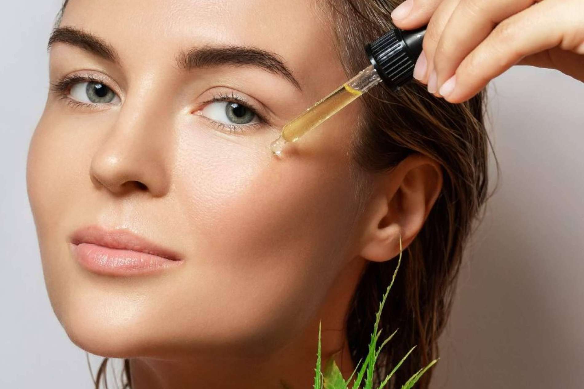 Foresta CBD, una de las marcas de productos de cáñamo pioneras en Galicia