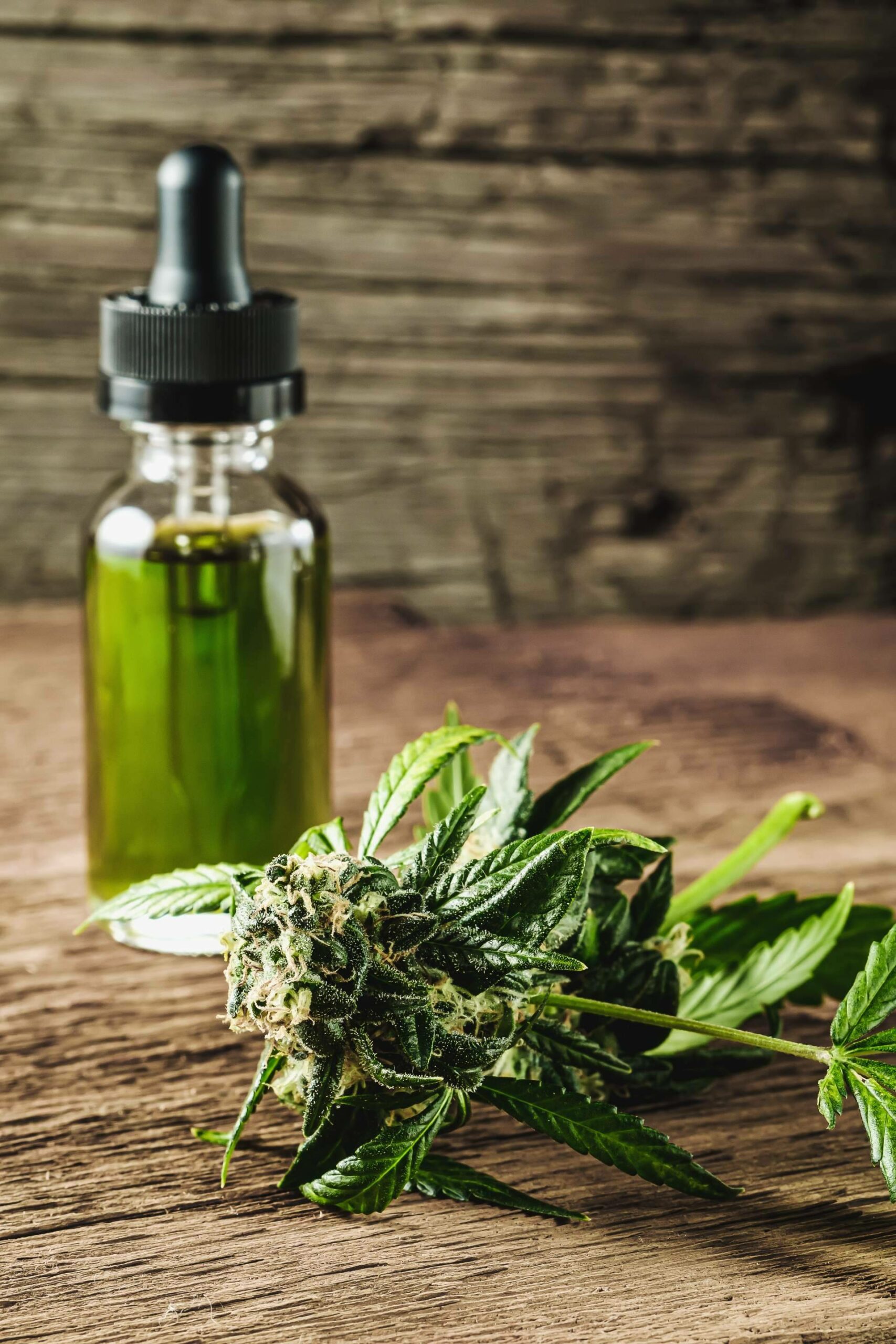 Kannaia ofrece flores de CBD de alta calidad