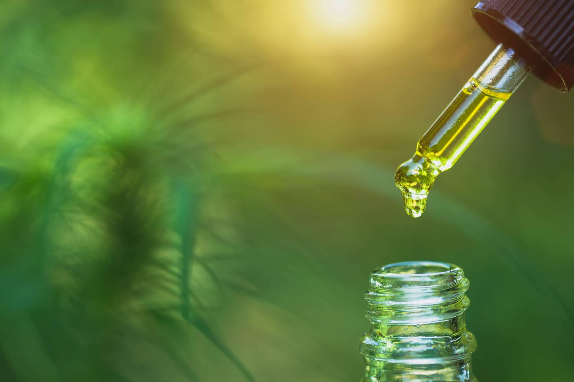 El aceite de CBD y sus propiedades analgésicas, ideales para ayudar a tratar las lesiones