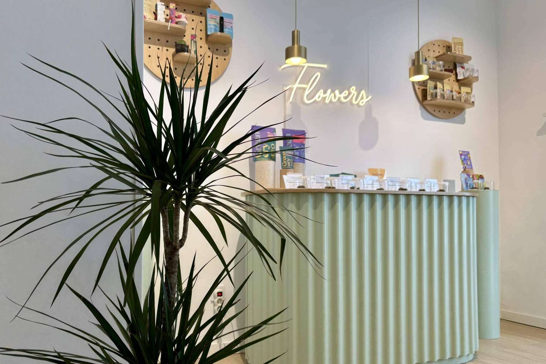 Greenery 420 apuesta por Madrid con la apertura de una nueva tienda de CBD